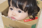 【画像】本当の“箱入り娘”がコチラｗｗｗｗｗｗｗｗ