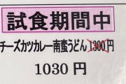 客「このチーズカツカレー南蛮うどんのセットメニューください～」→想定外の料理が届いてしまい困惑ｗｗｗｗ