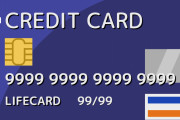 【マネー】クレカの限度額１００万だけど少ない方？ｗｗｗｗｗｗｗｗ