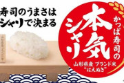 かっぱ寿司、半額祭を謝罪！「こんなに客が来るとは思わなかった。」