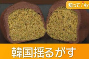 韓国でブームになった「ドバイもちもちクッキー」、衛生面に問題ありでブーム急速に終了へ……まあ、いつものことではあります