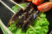 政府「コオロギ食え…」