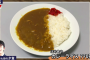 【悲報】藤井聡太くん、高いとお前らが叩くからゴミみたいなカレーを選んでしまう