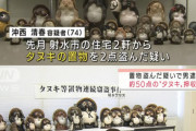 【画像】タヌキを盗みまくった男、逮捕ｗｗｗｗｗｗｗｗｗ