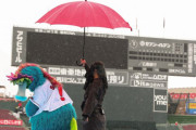 カープvsヤクルト戦は雨天中止。ヤクルトは今季5度目の雨天中止