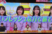 日向坂ちゃんが若手だけでネプリーグ出るのに乃木坂はいつもババアのおまけがついてくるのはなんで？