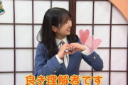 【日向坂46】上村ひなの、なんでも鑑定団で完璧なムーブをしてしまう