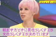 【画像】Xジェンダーの世界