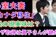 【速報】小室眞子さま妊娠❓❗