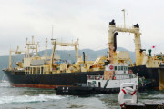 「日新丸」が31年ぶりの商業捕鯨終えて下関に帰港、223頭捕獲（海外の反応）