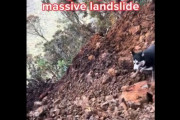 【動画】犬、目の前で土砂崩れに巻き込まれてしまう・・・