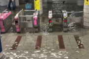 ゲリラ豪雨で東京の地下鉄浸水 → 動画を見た外国人が衝撃「なぜ地面が丸見えなんだ…」