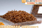【朗報】イオンの焼きそば、500g(4～5人前)の大容量でお値段たったの322円(税込)