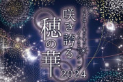 華やかに彩る豊橋の夜：「とよはしキラキライルミネーション2024」の魅力