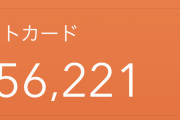 【画像】手取り20万ワイ、クレカの請求が35万で泣く・・・・