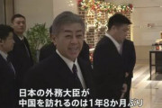 反吐が出そうな満面の笑み　〜　【日中】岩屋外相、中国人向けビザの発給要件緩和を表明へ