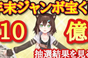 野良猫の年末ジャンボ、夢破れる