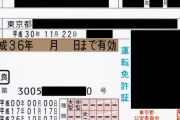 運転免許教習中僕「運転してる人たちこんな数の道路交通法覚えてんのよすげぇ…」