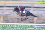 シルクロードSの予想
