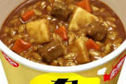 【緊急】日清が出している『カレーメシ』なる食べ物を本日初めて食したのだが