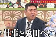 錦鯉・渡辺「今 仕事と兎田ぺこら」