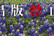 ラストが衝撃的だった小説