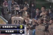 【vs西武】日ハム、松本の犠牲フライでリードを3点に広げる！