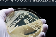 【悲報】日本人女性から発見された新型カンジダ、世界中で猛威を振るう