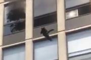 【動画】ネコちゃん、火災のビルから決死のダイブをしてしまうｗｗｗｗ