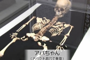 【岩手】弥生時代の幼児「アバちゃん」　全身の骨、県内初公開　花巻・大迫のアバクチ洞穴で発見
