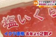 【悲報】イクラ、近い将来手の届かないものに…サケが記録的不漁、価格高騰でおせちに異変