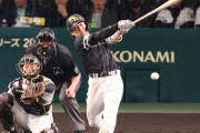 SB野村勇 28歳 (遊/三/二/一) .271 12本 40打点 18盗塁 OPS.733 10本10盗塁2回達成