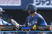 西武木村、100打席程度でうっかりHRランキング2位になってしまう