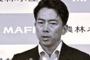 小泉進次郎氏、選挙期間中なのに”何故か”海外へ出張→「国外逃亡」「逃げた」と批判殺到へ
