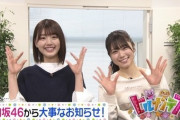 【日向坂46】ついに明日解禁！ドラマ『声春っ！』の主題歌がヒルナンデスで判明！！