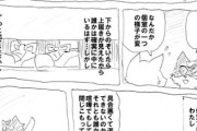 【人物】なんだよこの漫画ｗｗｗ【注意】