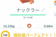 【ポケモンGO】最強じめんドラゴンゲット！