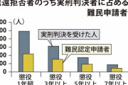 外国人「日本で犯罪をやって実刑を受けても、難民申請をして入れば国外退去にはならない」