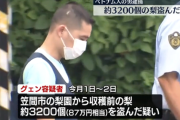 【事件】約3200個の梨を盗んだか、ベトナム人の男逮捕　茨城