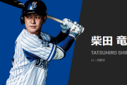 柴田竜拓（26）「ミートE、パワーD、走B、肩D、守備A」←この二塁手