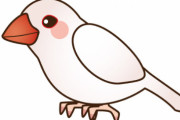 凄すぎ‼文鳥がアスレチックに挑戦してる！！！