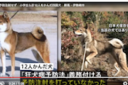 【ヤバすぎ】12人噛んだ暴れ犬、『狂犬病』の予防注射してなかった