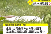22歳女、赤ちゃんを空き家の庭に埋め逮捕