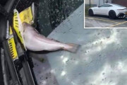 金持ちが高級車を無断で漁師専用駐車場に停めてしまった結果 → フロントガラスに魚を投げつけられる　イギリス