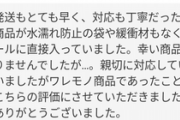 【悲報】わい将、メルカリで初めて低評価を付けられ咽び泣く