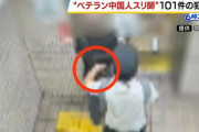 【供述】「日本はスリがしやすかった」 観光客など約100人にスリか、中国籍の男を書類送検
