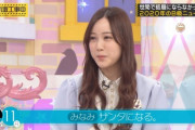 【乃木坂46】星野みなみ 家族全員かわいい『サンタさんになる』お兄ちゃんも欲しいｗ【乃木坂工事中】