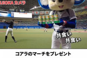 動画　ドアラさん、ロッテの広報さんにコアラのマーチを貰う