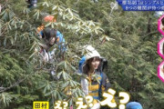 【櫻坂46】櫻ちゃん、ヤバすぎる道をゆく。。。