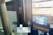 【画像】ゴミ箱がまるで“祈りを捧げている”ようだと話題に「自販機の明かりが教会のステンドグラスのよう」